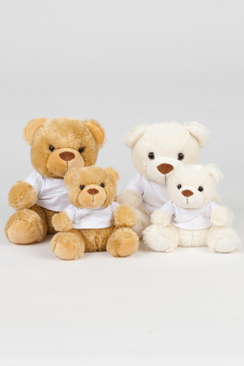 MM030 - BEAR IN A T-SHIRT