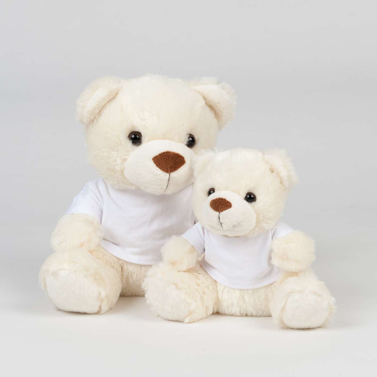 MM030 - BEAR IN A T-SHIRT